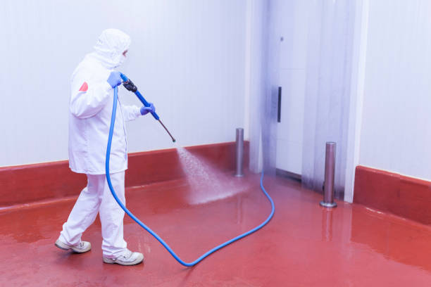 Professional Pressure Washing Services in Center Moriches, NY